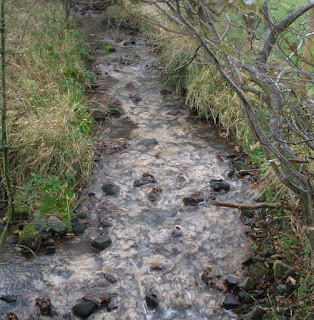 Signs of pollution